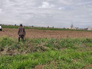 Куплю земельный участок: 10 соток — 7