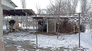 ассистент из комнаты общежития: 6 комнат и более, 120 м², 12 соток, Константиновка, Собственник — 8