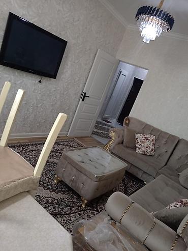 приют для животных в баку адрес: 2 комнаты, Новостройка, 50 м² — 2