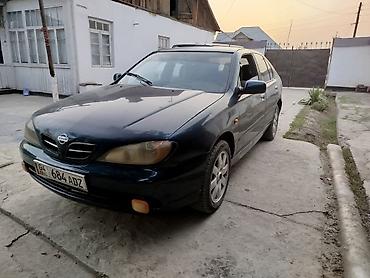 каракол мото: Nissan Primera: 2001 г., 2 л, Механика, Бензин, Седан — 2
