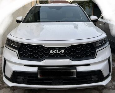 спрей скорая помощь: Kia Sorento: 2023 г., Автомат, Гибрид, Кроссовер