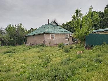 рыбные хозяйства: 5726 соток — 4