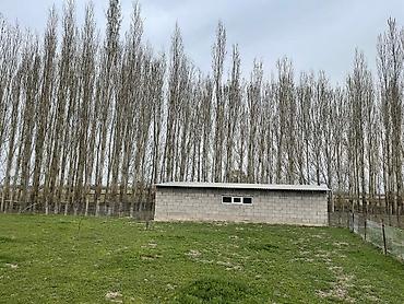 Кыймылсыз мүлк: 150 соток, Айыл чарба үчүн, Кызыл китеп, Техпаспорт, Сатып алуу-сатуу келишими — 6