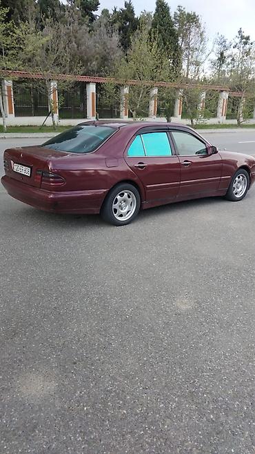 фольксваген поло л с: Mercedes-Benz E-Class sedan (W210), tünd bordo rəng. - Kuzov: 4 qapılı — 2