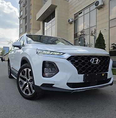 Hyundai: Hyundai Santa Fe: 2019 г., 2 л, Автомат, Дизель, Кроссовер — 8