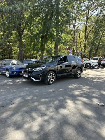 диск на мотоцикл: Honda CR-V: 2019 г., 1.5 л, Автомат, Бензин, Кроссовер