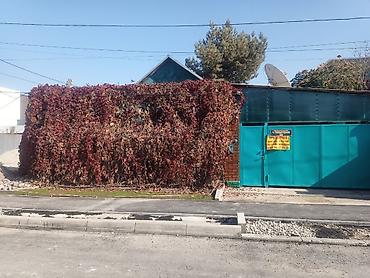 дом 12000: 4 комнаты, 60 м², 4 соток, Бишкек, Рынок Баят/Азиз Собственник — 1