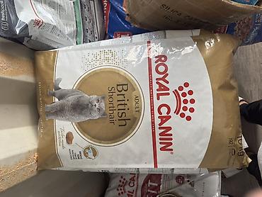 сухой поек: Цена указана за 1КГ!!! Royal Canin — сухие корма для кошек, фасовка — 5
