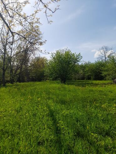 Torpaq sahələrinin satışı: 30 sot, Kənd təsərrüfatı, Mülkiyyətçi, Kupça (Çıxarış) -da lalafo.az — 18 Torpaq sahələrinin satışı: 30 sot, Kənd təsərrüfatı, Mülkiyyətçi, Kupça (Çıxarış) — 18