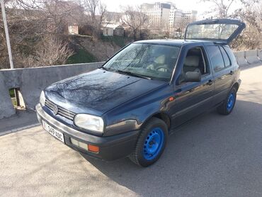 Volkswagen: Volkswagen Golf: 1993 г., 1.6 л, Механика, Бензин, Хэтчбэк