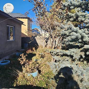 Продажа коттеджей и домов: Продается частный дом с дворовой территорией и хозяйственными — 2