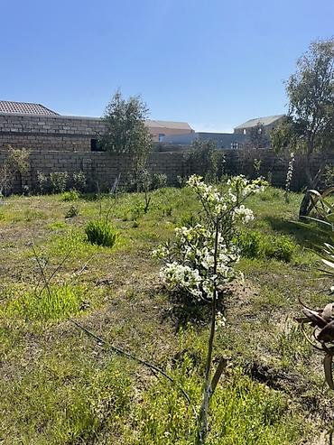 upd qesebesinde evler: 138 kv. m, 3 otaqlı, Qaz, Su, İnternet — 8