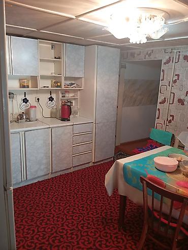 Деревянные штакетники: Деревянные штакетники, Покраска забора — 16