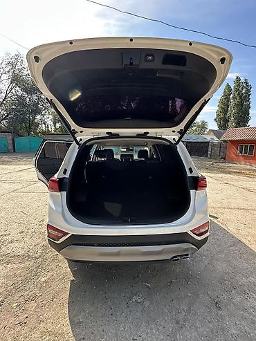 Hyundai: Hyundai Santa Fe: 2020 г., 2 л, Типтроник, Кроссовер — 7