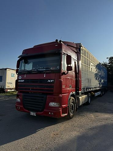 даф 105 2013: Тягач, DAF, 2008 г., Тентованный — 3