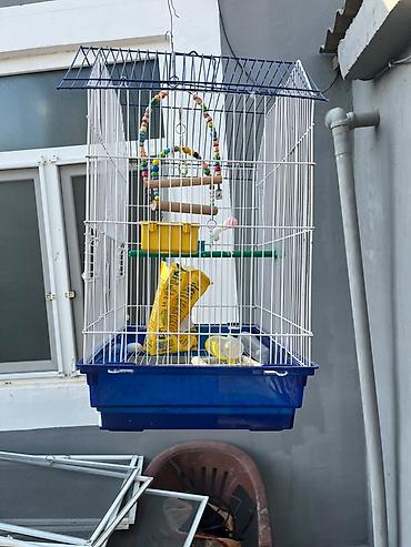 ucuz quslar: Quş qəfəsi dəsti - Material: metal barmaqlıqlar, möhkəm plastik — 2