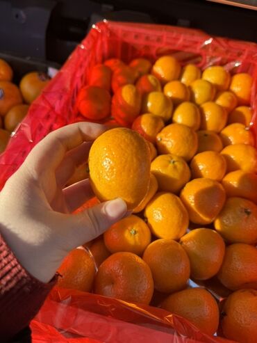 Мандарины: Мандарины — 4