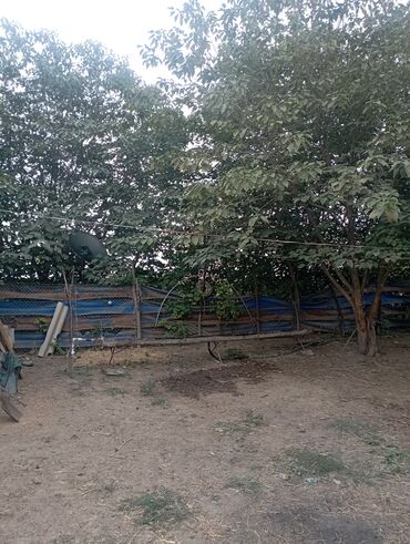 Həyət evləri və villaların satışı: 6 otaqlı, 130 kv. m, Kredit yoxdur, Yeni təmirli — 17