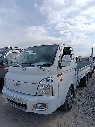 хунд: Легкий грузовик, Hyundai, Стандарт, Новый — 3