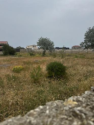 Torpaq sahələrinin satışı: 6 sot, Tikinti, Kupça (Çıxarış) — 6