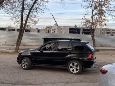 BMW: BMW X5: 2003 г., 3 л, Дизель, Внедорожник — 8