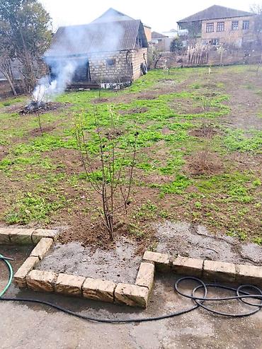 Həyət evləri və villaların satışı: 4 otaqlı, 288 kv. m — 29