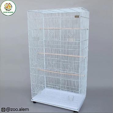 donuz heyvan: Böyük ölçülü tutuquşu qəfəsi - Ölçülər: 150 sm hündürlük, 78 sm en, 46 — 4