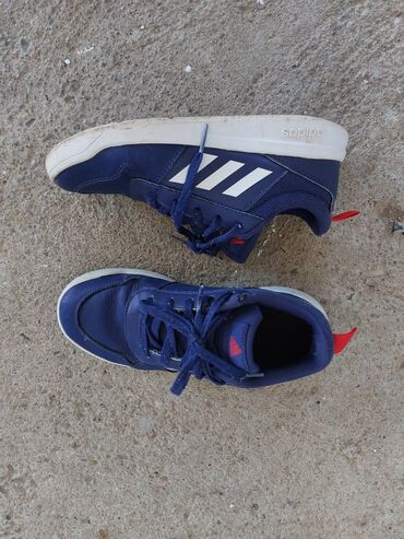 kozne converse patike: Trainers, Adidas, size - 36