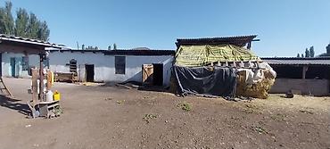 Продажа коттеджей и домов: Продаётся дом из 5ти комнат длинный коридор, раздельный сан узел — 6