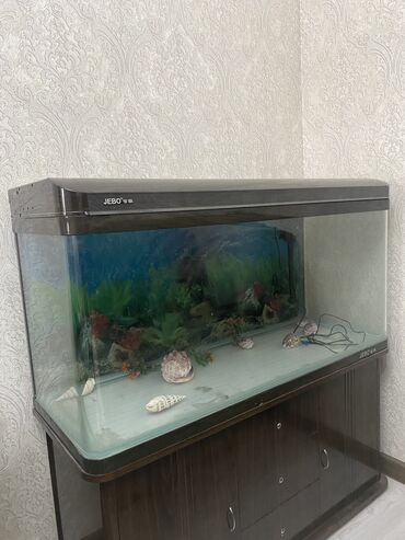 аквариум для рыб: Аквариум jebo размеры: Длина-120 ширина 45 высота 50.Декор и камушки