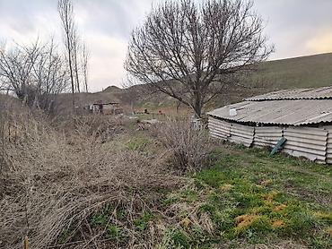 Продажа коттеджей и домов: Продаётся дом с участком общая площадь 20 соток все документы в — 9