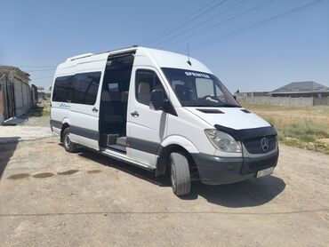 сапоги зимние женские натуральная кожа натуральный мех распродажа: По региону, Аэропорт, По городу Бус | 18 мест