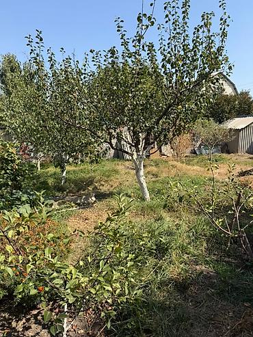Продажа участков: 🌿 Продаётся дом с большим ухоженным участком — 4,25 сотки 📍 Байтик — 11