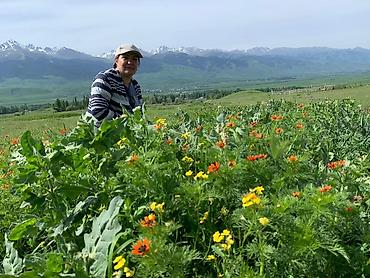 Туристические услуги: Приглашаем на Кумысолечение с 1-го мая!!! Лечебное кобылье молоко в — 7