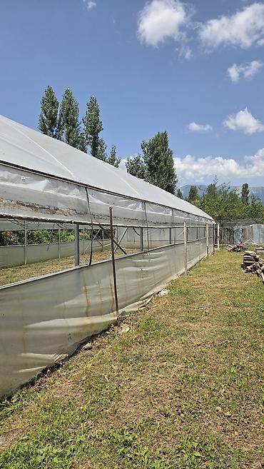 moyka ish: Parnik uzunluğu 25 m, eni 9 m,peçidə var karopkada,qiymetde — 3