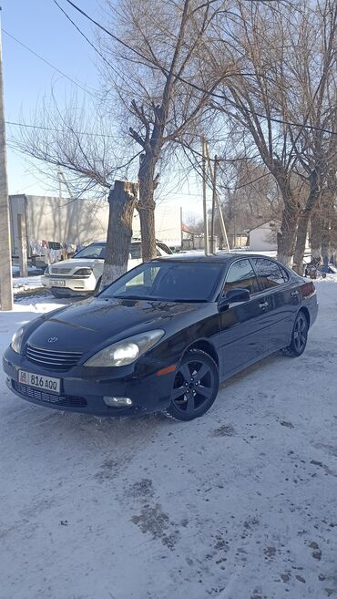 таета альфарт: Toyota Windom: 2002 г., 3 л, Автомат, Бензин, Седан