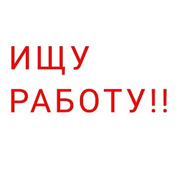 Помощник. Без опыта