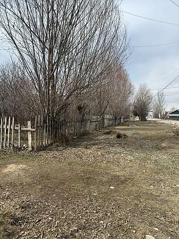 Кыймылсыз мүлк: 24 соток, Курулуш, Кызыл китеп — 5