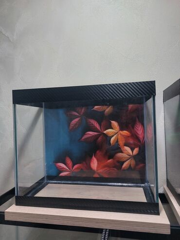 Akvariumlar: Şüşə akvarium – dekorativ fonlu modellər ölçü 30×25×15 Məhsul təsviri — 18