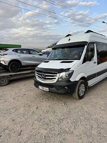 rex sprinter: Пункт назначения: Все направления, Количество мест: 19, Лицензия №: 00-ФММП-1476 — 6