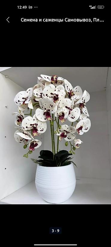 Декоративные цветы: Искусственные деревьяи цветы для вашего интерьера Адрес: г. Бишкек. ул — 5