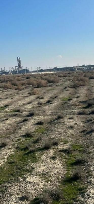 ticari daşınmaz əmlakın satışı: 150 sot, Biznes üçün, Mülkiyyətçi, Kupça (Çıxarış) — 3
