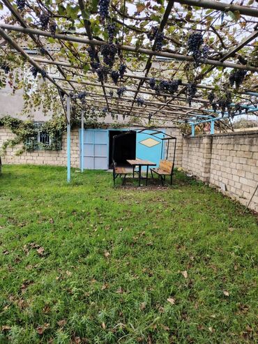 Həyət evləri və villaların satışı: Ev Xaçmaz-Xudat yoluna yaxın məsafədə yerləşir.25 sot həyətyanı sahədə -da lalafo.az — 2 Həyət evləri və villaların satışı: Ev Xaçmaz-Xudat yoluna yaxın məsafədə yerləşir.25 sot həyətyanı sahədə — 2