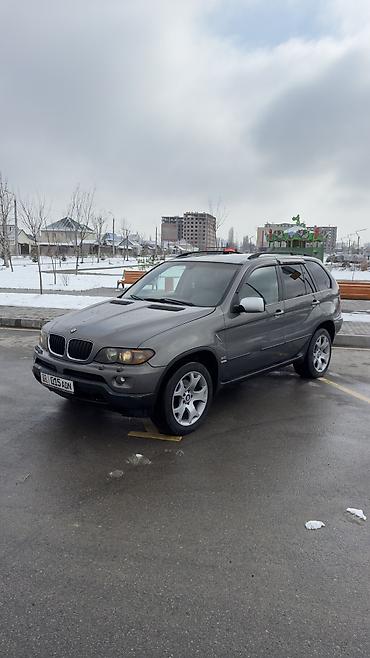 BMW: BMW X5: 2006 г., 3 л, Автомат, Бензин — 3