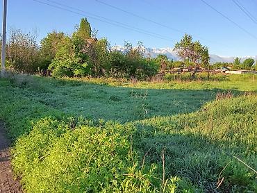 Кыймылсыз мүлк: 10 соток, Курулуш, Техпаспорт — 2