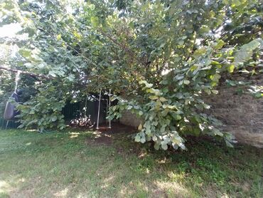 Bağ evlərinin kirayəsi: 220 kv. m, 8 otaq, Hovuzsuz, Artezian quyusu, Su, Telefon — 6