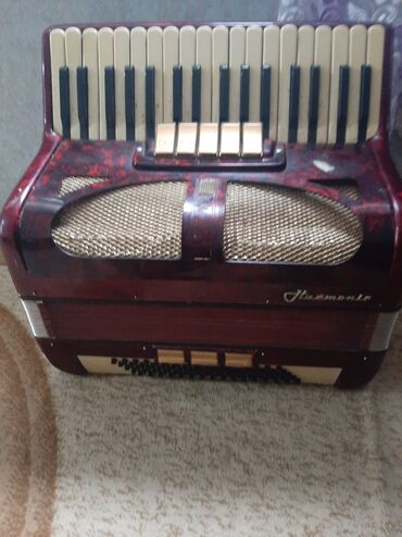 гейнер купить баку: Акустический Аккордеон