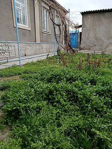 Продажа коттеджей и домов: Продаётся частный дом с двором и капитальным ограждением — 11