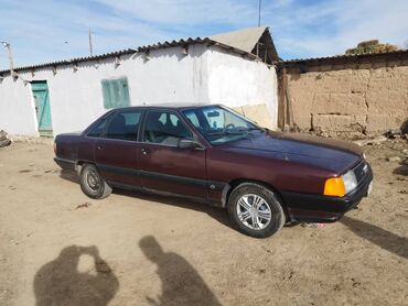 Audi: Audi 100: 1988 г., 2 л, Механика, Бензин, Седан