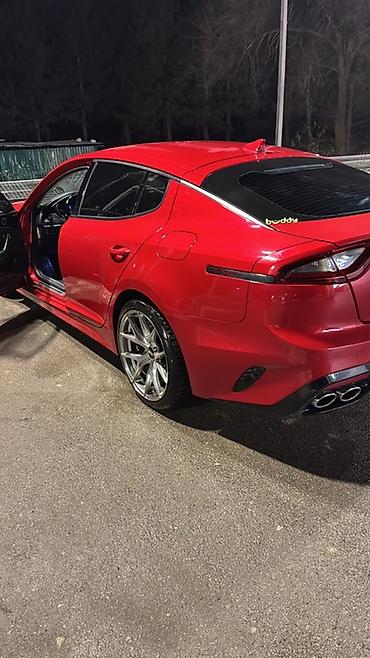 киа к5 хищник: Kia Stinger: 2019 г., 2 л, Автомат, Бензин, Лифтбек — 2
